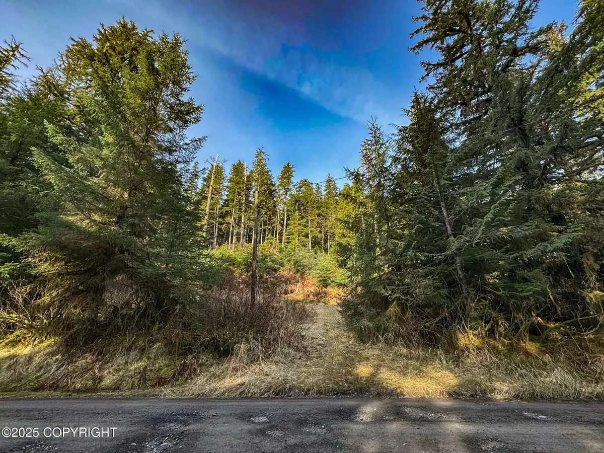 L7B13 Usfs 30 Road, Whale Pass, AK 99927 - Image #1