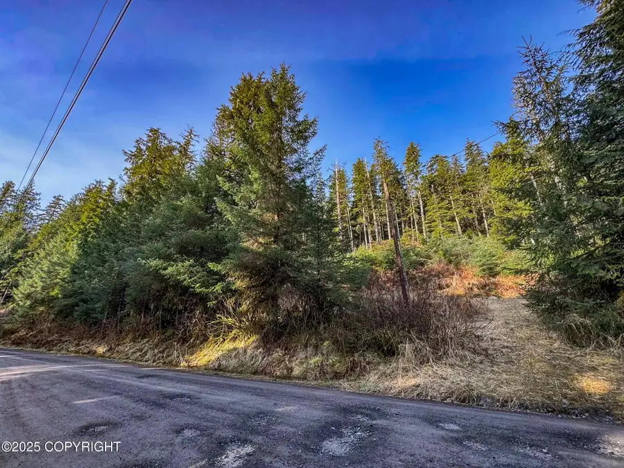 L7B13 Usfs 30 Road, Whale Pass, AK 99927 - Image #2