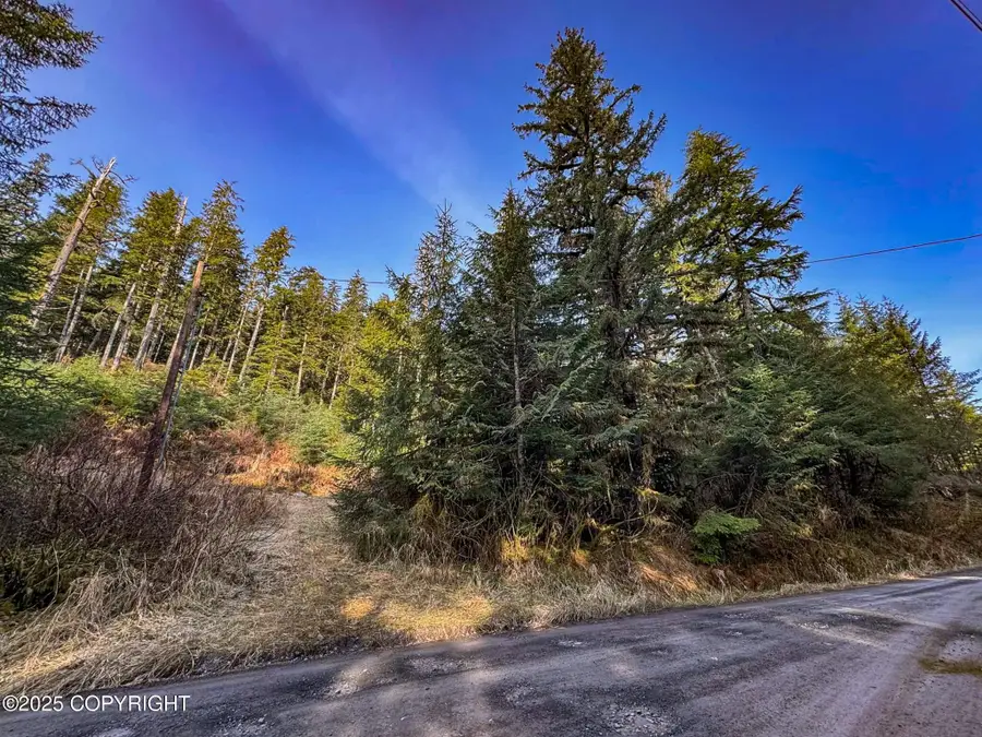 L7B13 Usfs 30 Road, Whale Pass, AK 99927 - Image #3