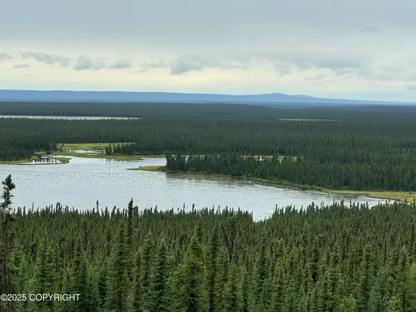 L9 Lou Anne Lane, Gakona, AK 99586