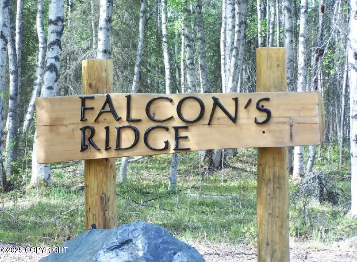 L10 B4 Falcon's Ridge, Willow, AK 99688 - Image #1