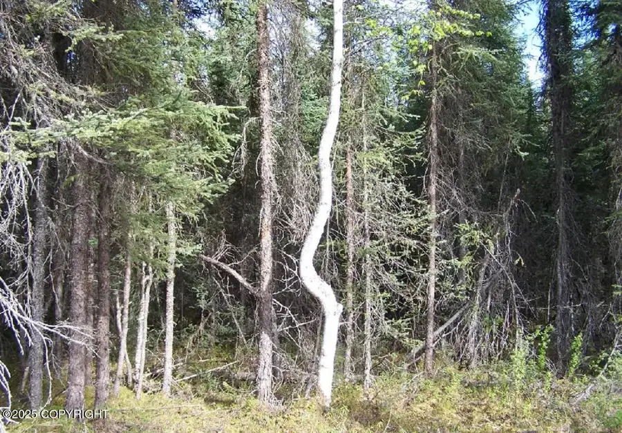 L10 B4 Falcon's Ridge, Willow, AK 99688 - Image #2