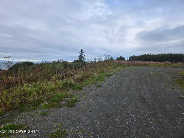 L7 Danver, Anchor Point, AK 99556