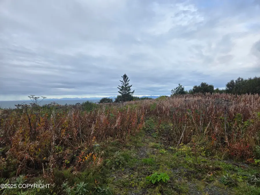 L7 Danver, Anchor Point, AK 99556 - Image #2