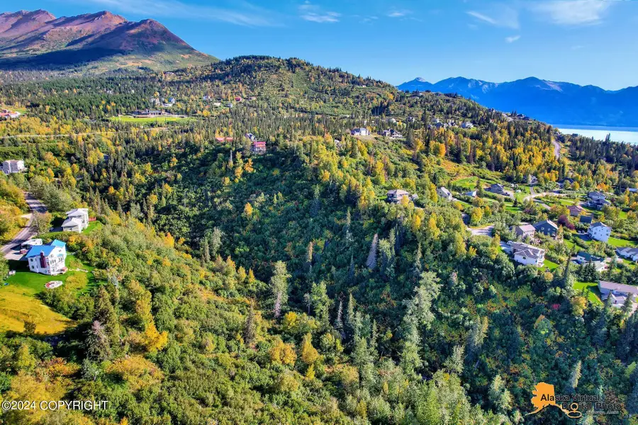 L21-22 Bulgaria Drive, Anchorage, AK 99516 - Image #3