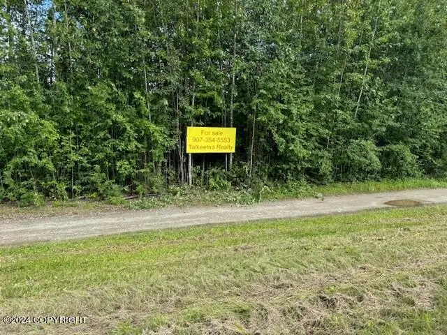 22911 S Talkeetna Spur Road, Talkeetna, AK 99676 - Image #2