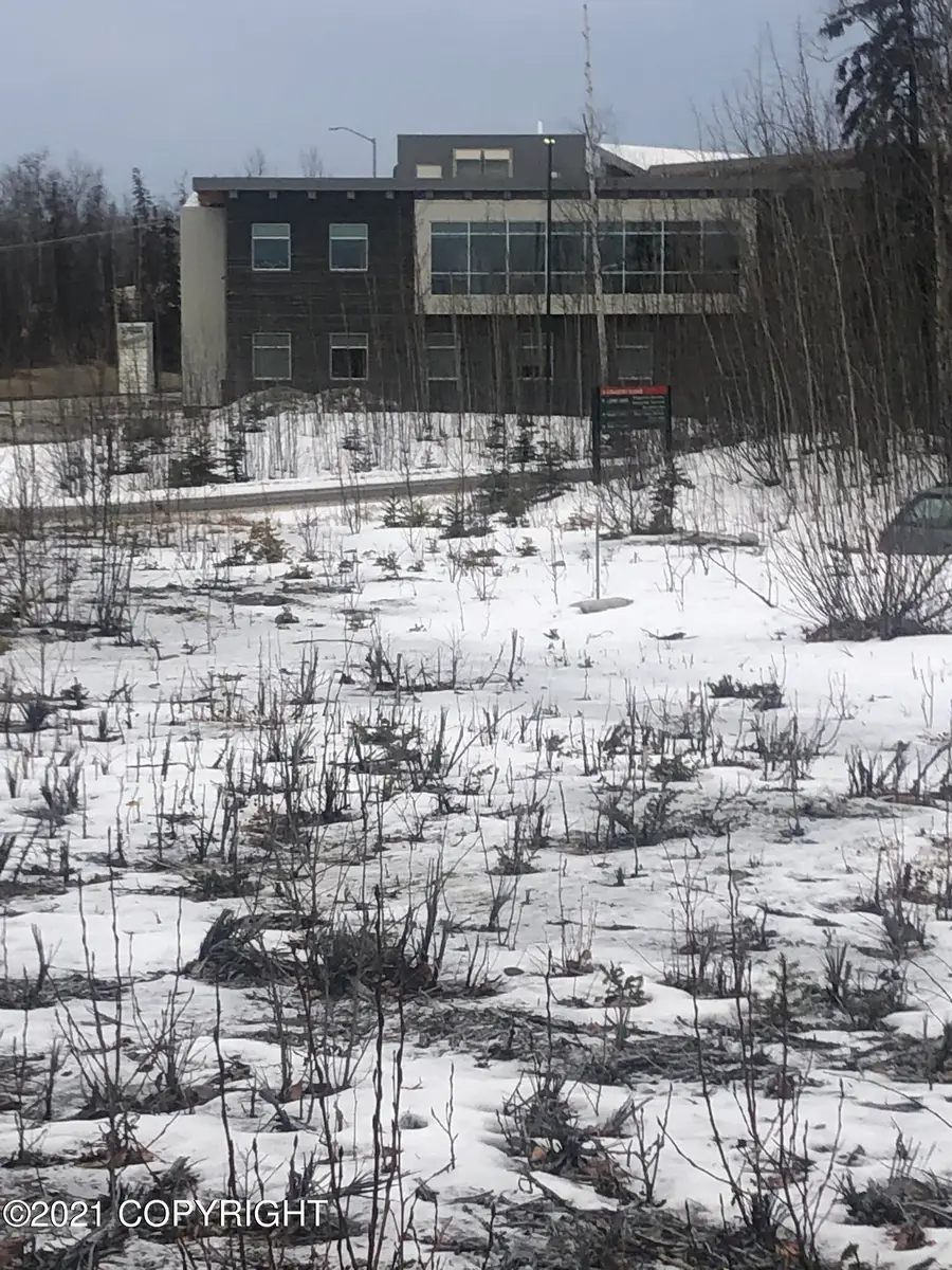 985 E Usa Circle, Wasilla, AK 99654 - Image #3