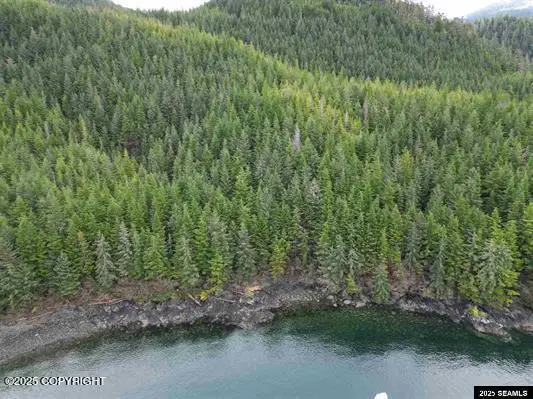 Lot 4 Nakwasina Sound Subdivision, Sitka, AK 99835 - Image #2