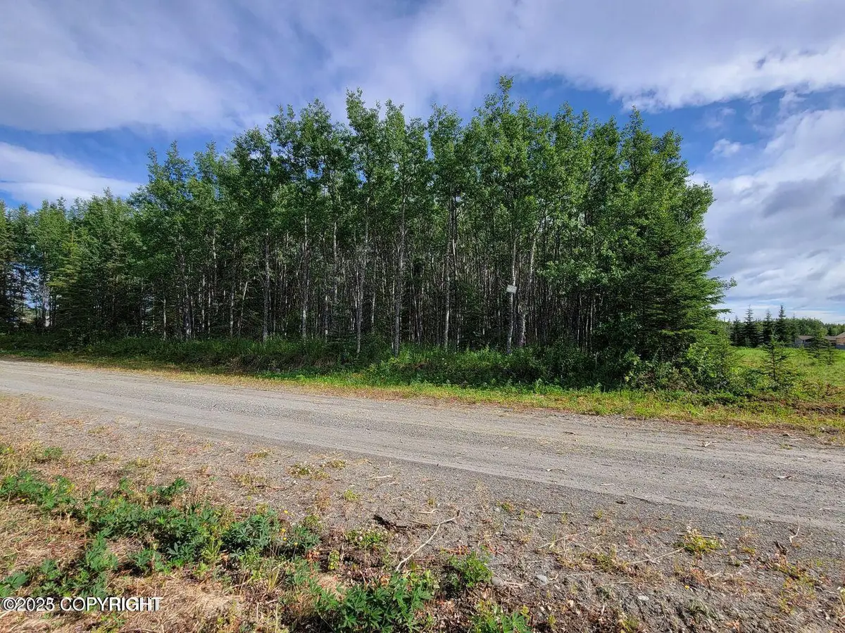 47907 Melinda Way, Soldotna, AK 99669 - Image #1