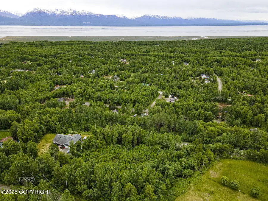 6917 Bogle Bluff Drive, Wasilla, AK 99623 - Image #2