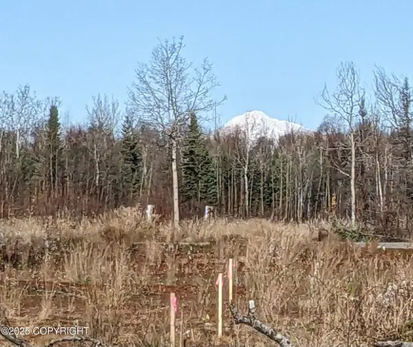 47345 S Hawk Avenue, Willow, AK 99688