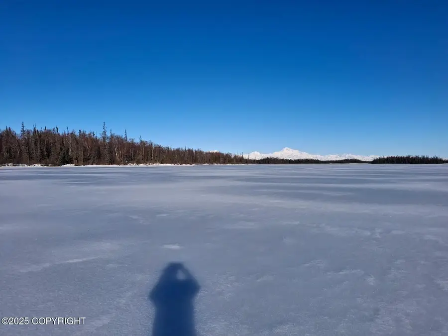 Tr  C No Road, Talkeetna, AK 99676 - #3