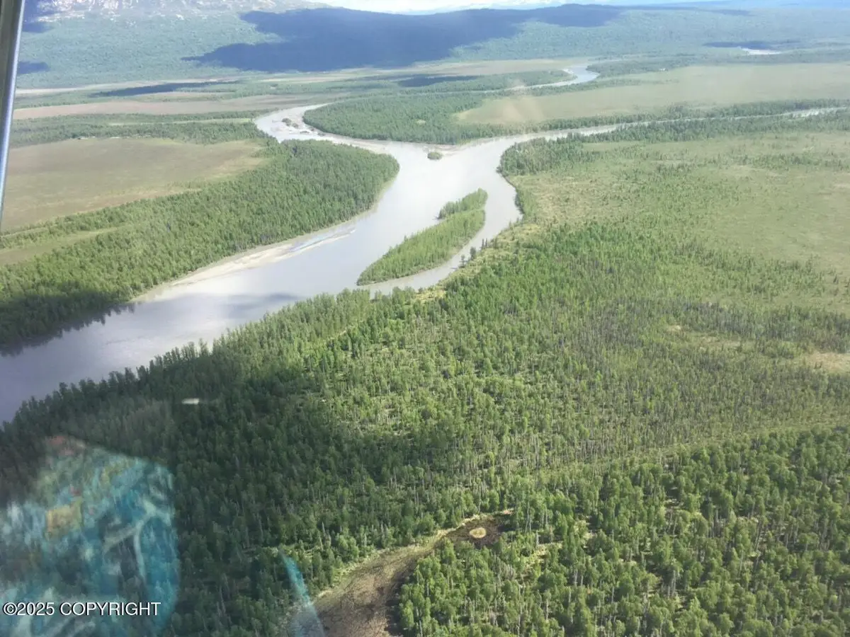 L20 B3 W Elm Circle, Skwentna, AK 99000 - #1