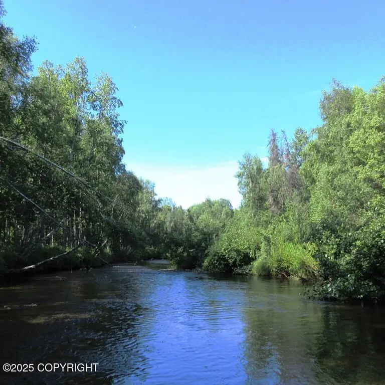 Tr D Mile 93 Parks Highway, Talkeetna, AK 99676 - Image #1