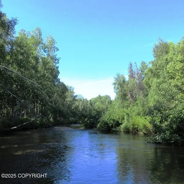 Tr D Mile 93 Parks Highway, Talkeetna, AK 99676