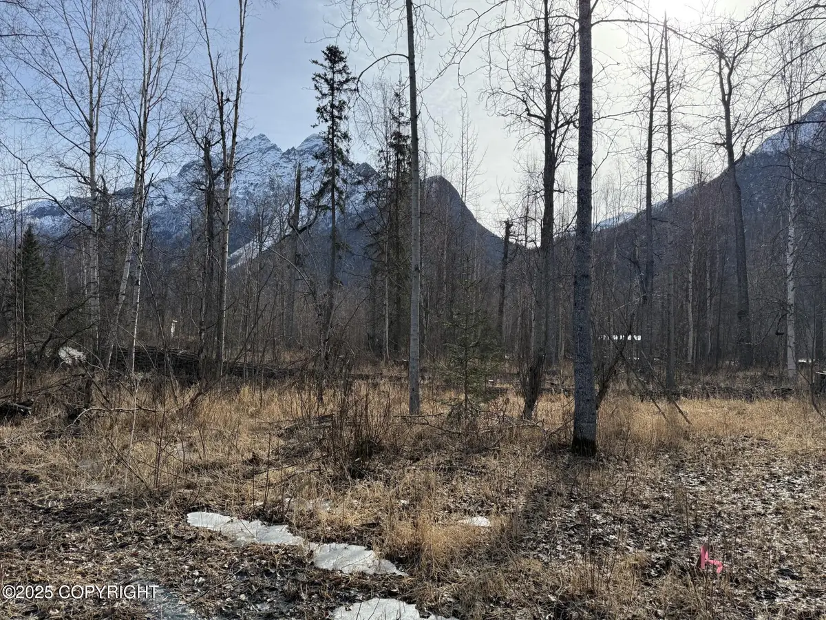 9085 River Drive, Palmer, AK 99645 - Image #1