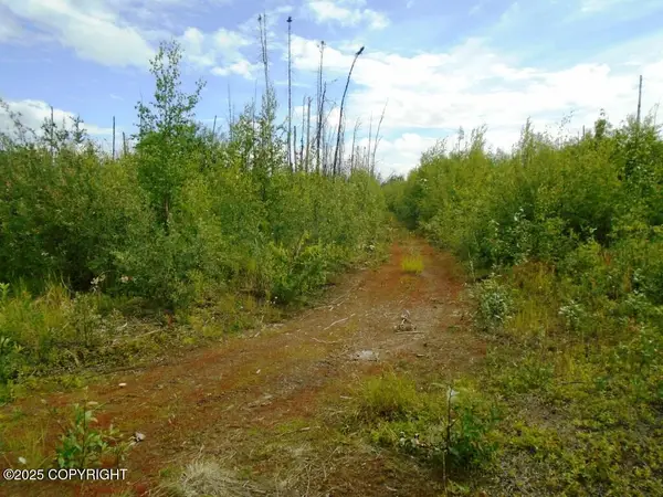 Mile 72 Parks Highway, Willow, AK 99688