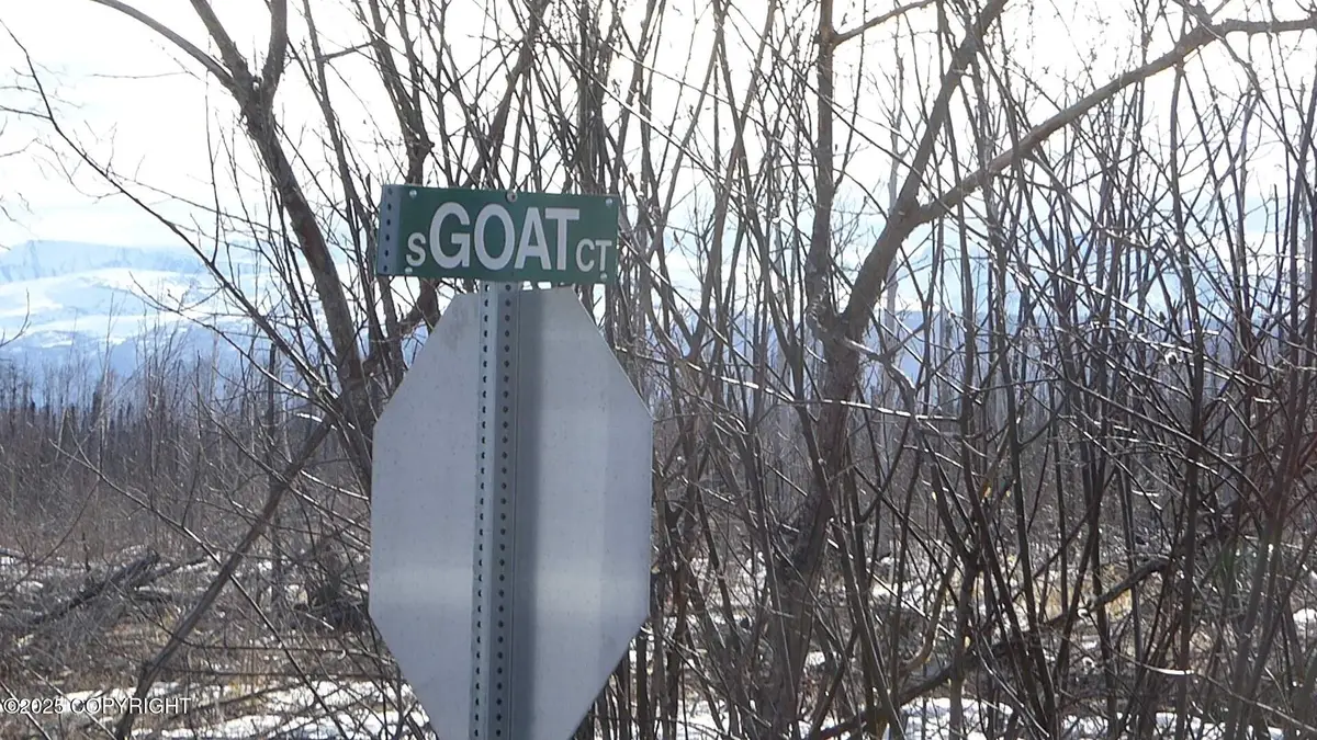 56731 S Goat Court, Willow, AK 99688 - Image #1