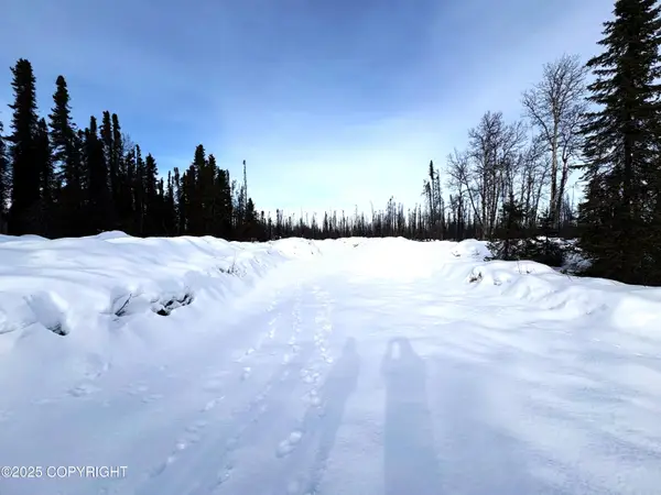 GOV S Leroy Davies Road, Talkeetna, AK 99676