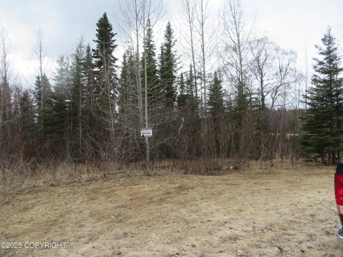 24839 Decanter Circle, Kasilof, AK 99610 - Image #1