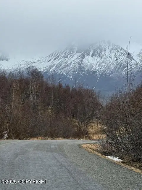 L1 Bear Ridge Circle, Eagle River, AK 99577 - Image #2