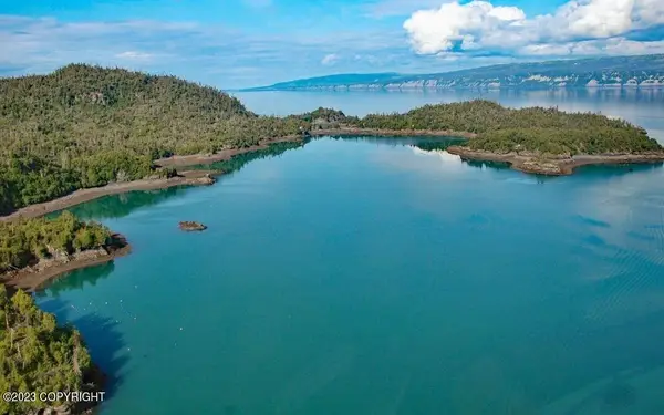 00 Bear Cove, Homer, AK 99603