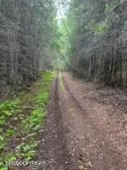 Tr A-4 Pomeroy Road, Homer, AK 99603 - Image #2