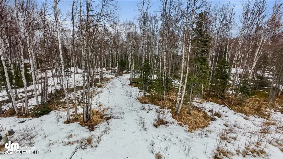 14581 E Ian Tawney Drive, Willow, AK 99688 - Image #2