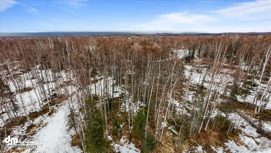 14581 E Ian Tawney Drive, Willow, AK 99688 - Image #3