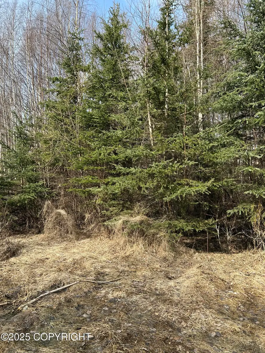 L18 B2 Chugach Meadows, Anchorage, AK 99507 - Image #3