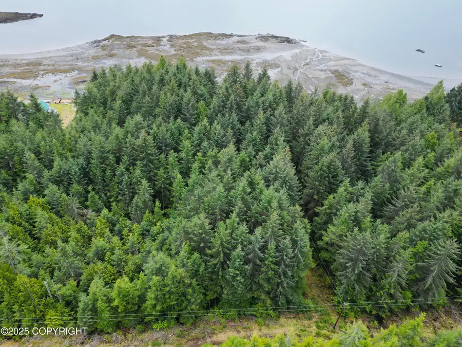 3A & 3B North Entrance Subdivision, Whale Pass, AK 99950 - Image #3