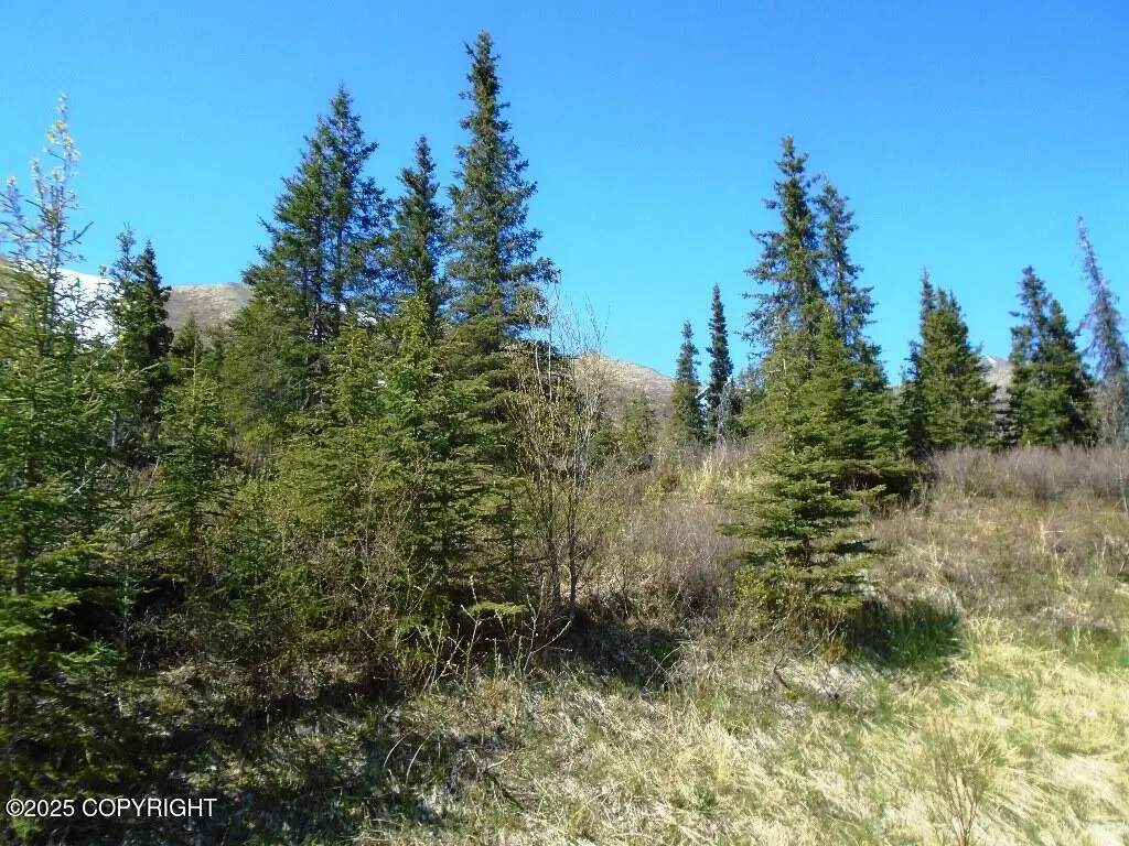 Lot 2 West River Drive, Eagle River, AK 99577 - Image #1