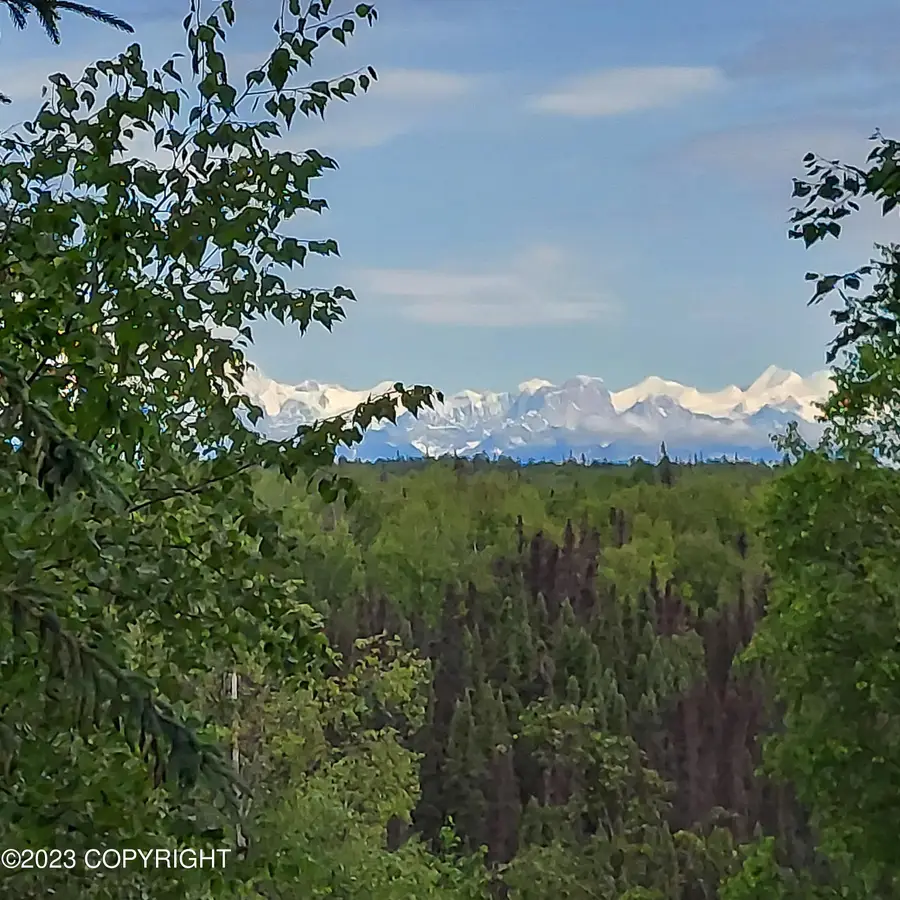 20499 E Rampart Loop, Talkeetna, AK 99676 - Image #2