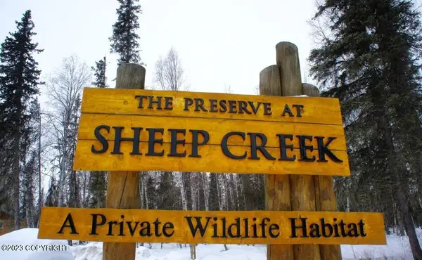 49375 S Noahs Circle, Willow, AK 99688