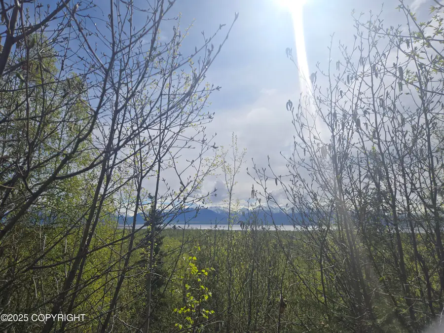 7503 S Knik Goose Bay Road, Wasilla, AK 99654 - Image #2