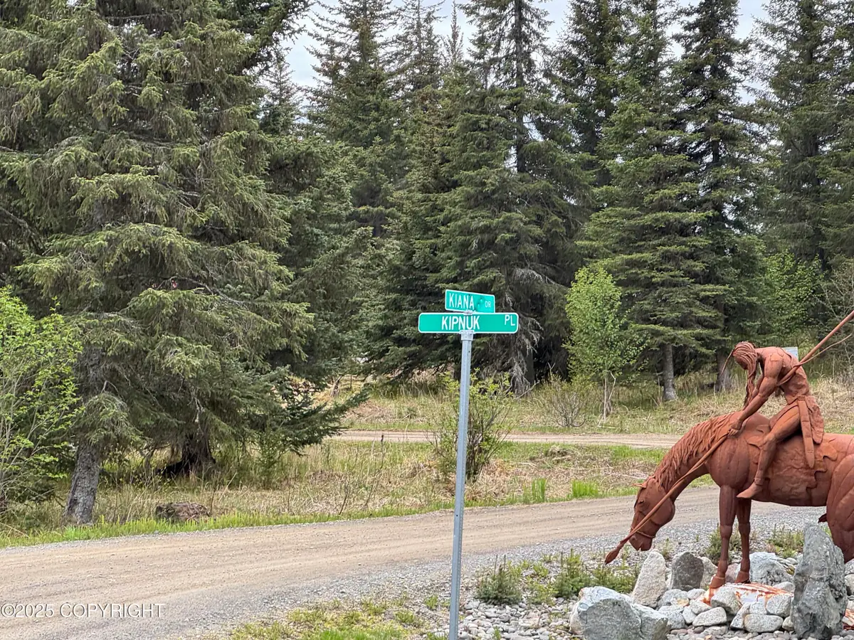 67461 Kiana Drive, Ninilchik, AK 99639 - Image #1