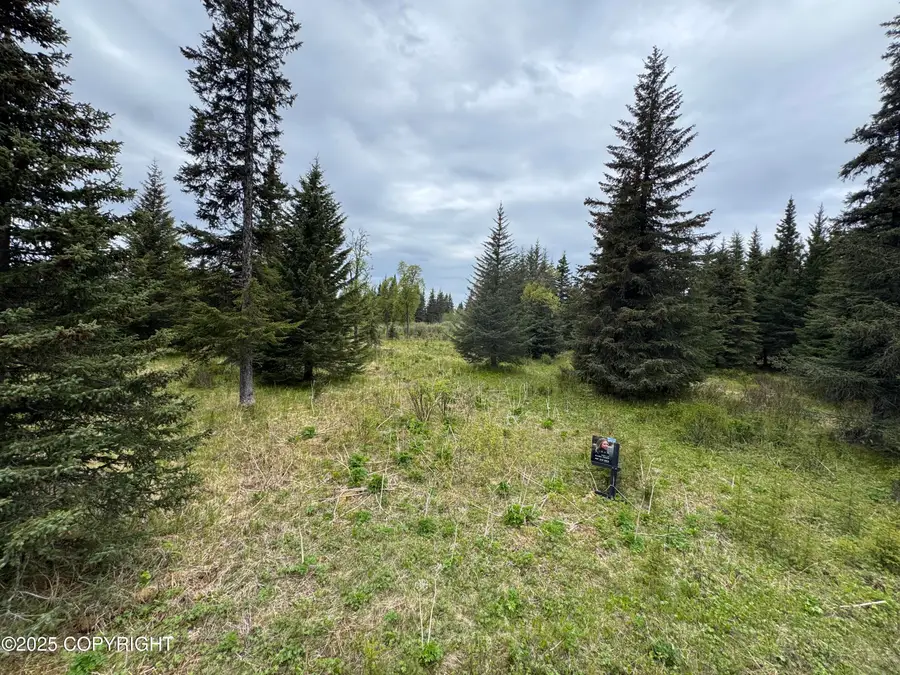 67461 Kiana Drive, Ninilchik, AK 99639 - Image #2