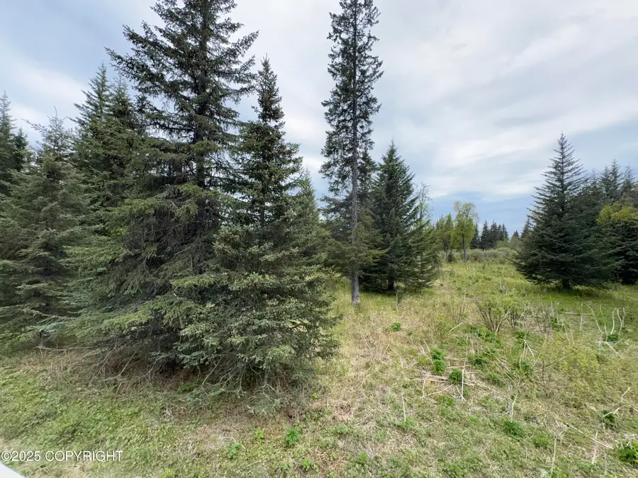 67461 Kiana Drive, Ninilchik, AK 99639 - Image #3