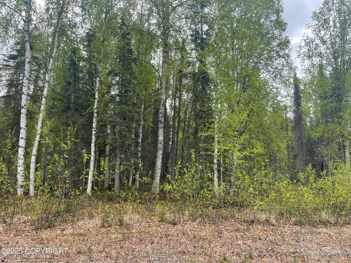 14968 Gyrfalcon Drive, Willow, AK 99688 - Image #1
