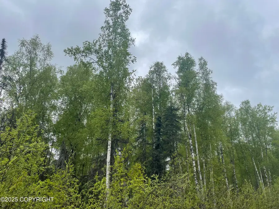 14968 Gyrfalcon Drive, Willow, AK 99688 - Image #3