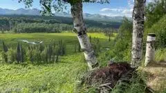 9320 S Cache Crk Drive, Trapper Creek, AK 99683