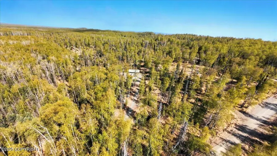 21325 W Moore Road, Wasilla, AK 99654 - Image #2