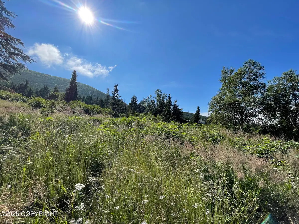 L14A B10H Harwood Circle, Anchorage, AK 99516 - Image #1