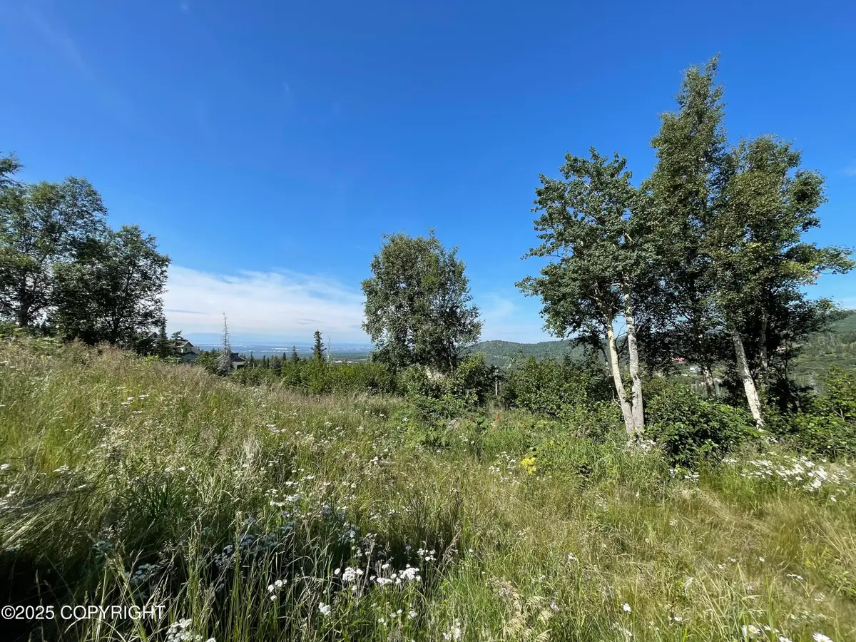 L16A B10H Harwood Circle, Anchorage, AK 99516 - Image #1