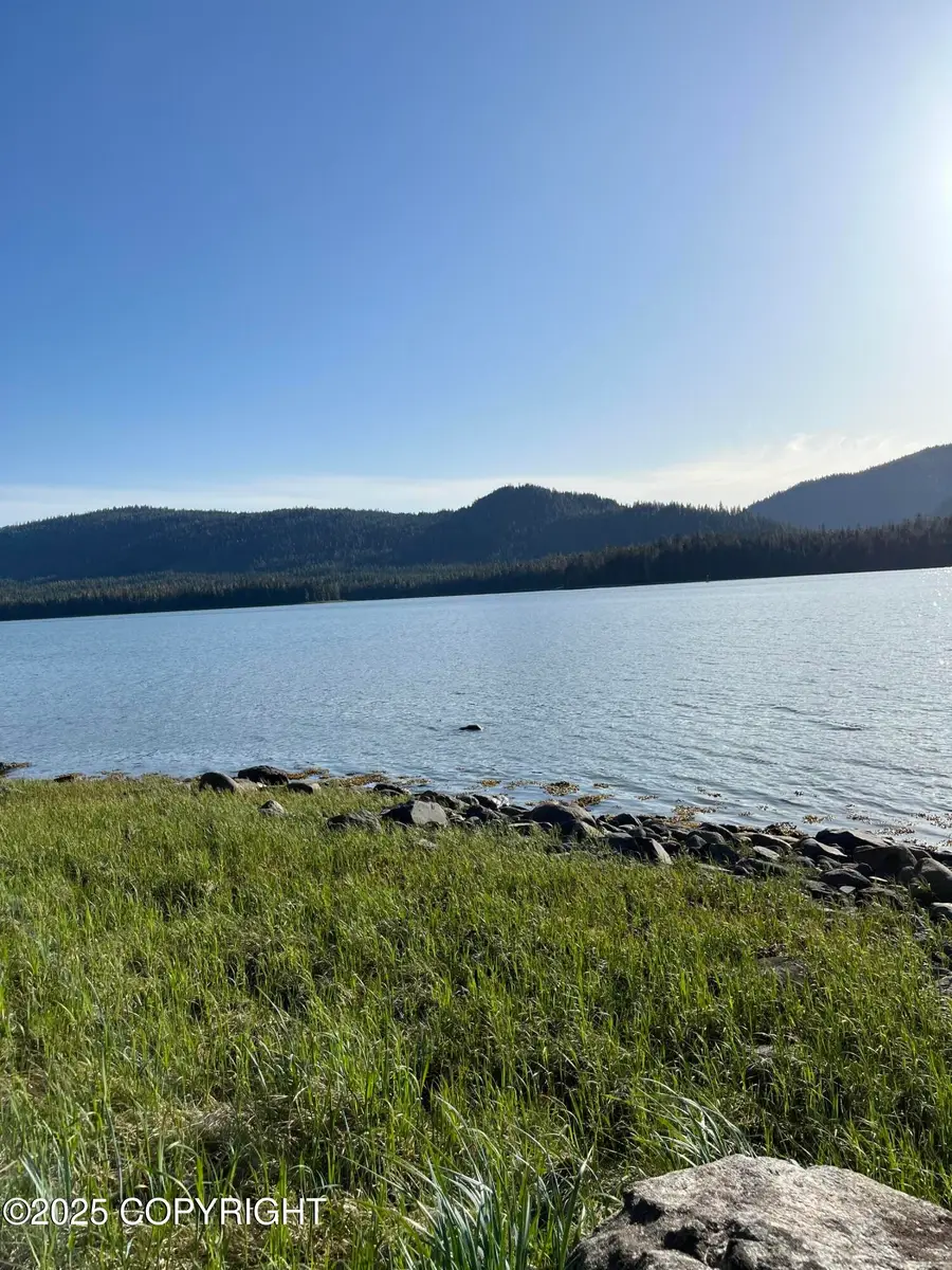 24AD Blueberry Lane, Petersburg, AK 99833 - Image #3