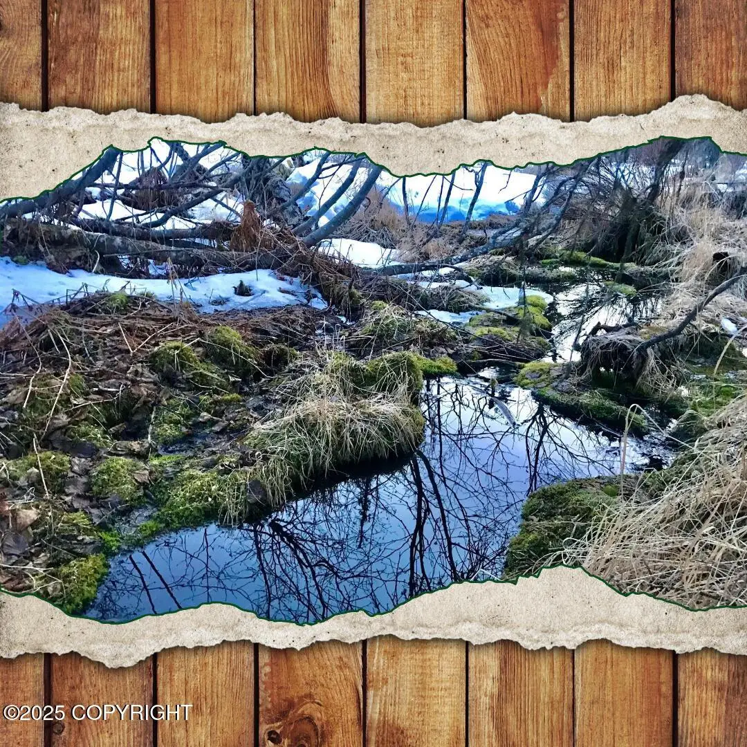 14235 Caribou Hills Rem, Ninilchik, AK 99639 - Image #1