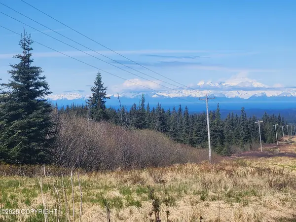 000 Misty Ridge Road, Homer, AK 99603
