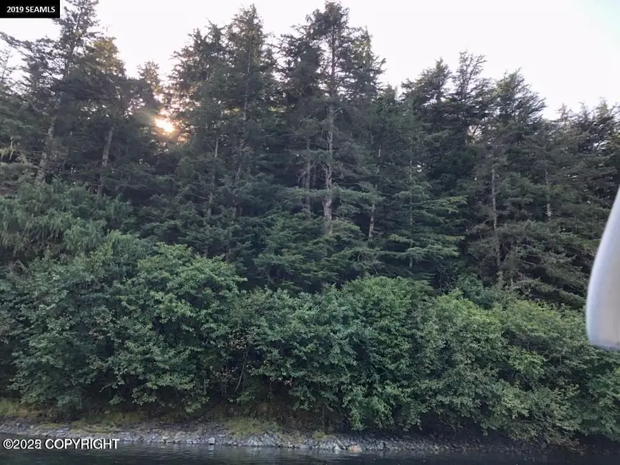 Lot 58 Nhn Legal Address Only, Elfin Cove, AK 99825 - #3