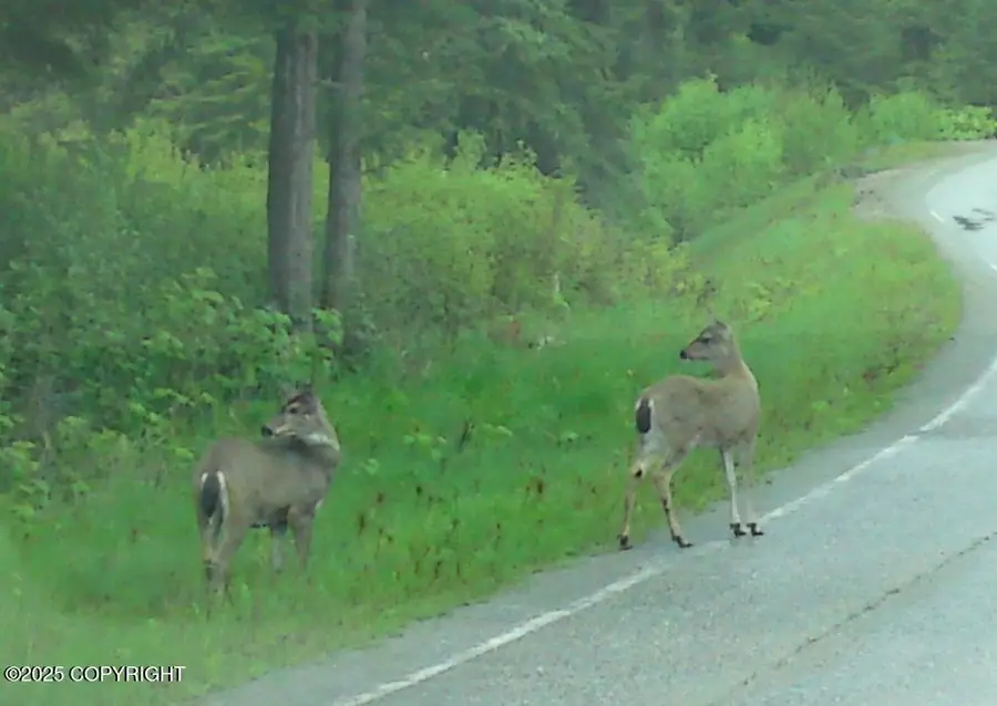 000 Lot 43c Auktah Lake, Angoon, AK 99820 - Image #2