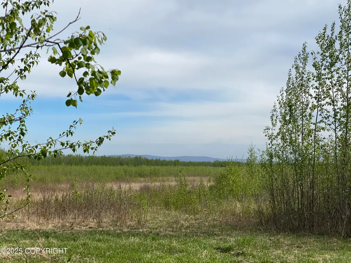 Tr S1 Barley Way, Delta Junction, AK 99737 - Image #1